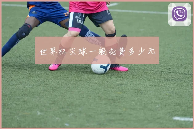 世界杯买球一般花费多少元