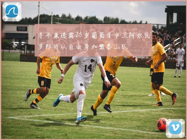 李平康透露25岁葡萄牙中卫阿尔瓦罗即将以自由身加盟泰山队