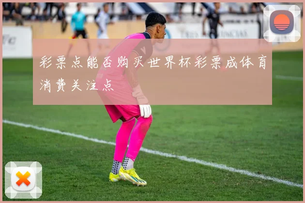 彩票点能否购买世界杯彩票成体育消费关注点