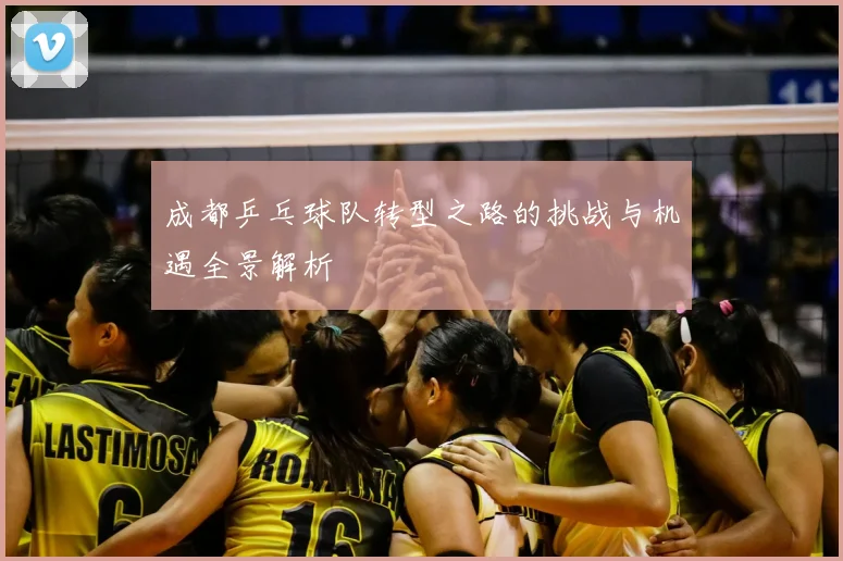 成都乒乓球队转型之路的挑战与机遇全景解析