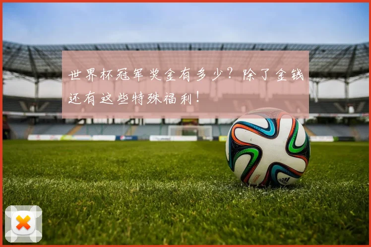 世界杯冠军奖金有多少?除了金钱还有这些特殊福利!