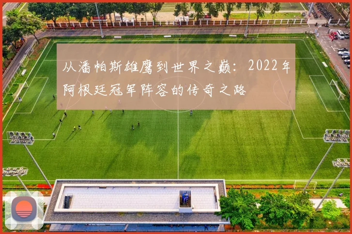 从潘帕斯雄鹰到世界之巅：2022年阿根廷冠军阵容的传奇之路