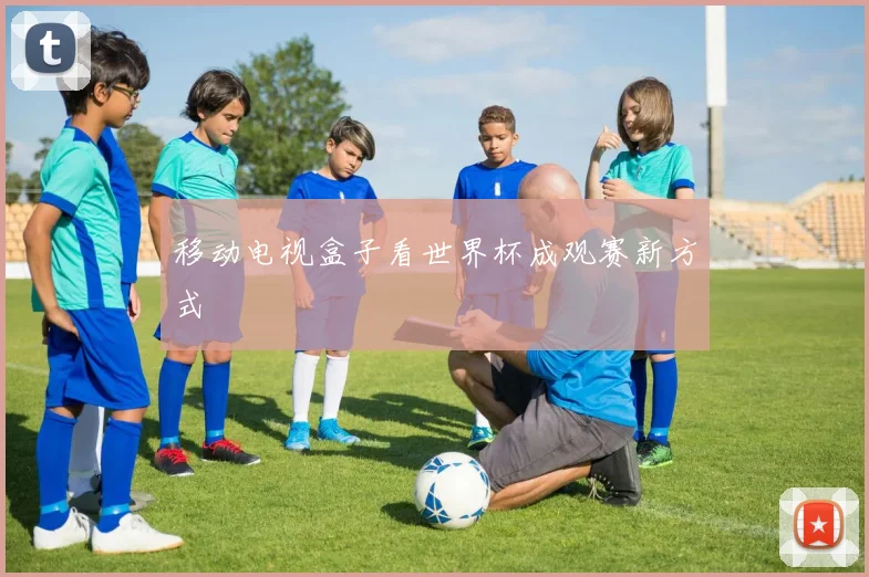 移动电视盒子看世界杯成观赛新方式