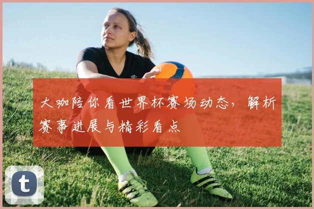 大咖陪你看世界杯赛场动态，解析赛事进展与精彩看点