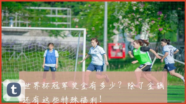 世界杯冠军奖金有多少?除了金钱还有这些特殊福利!