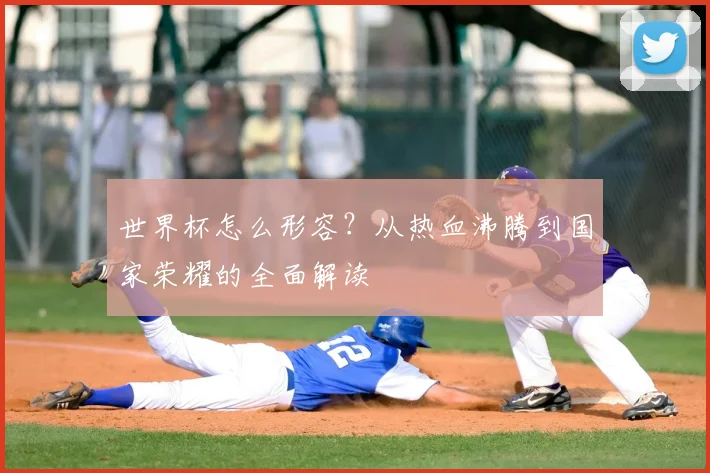 世界杯怎么形容？从热血沸腾到国家荣耀的全面解读