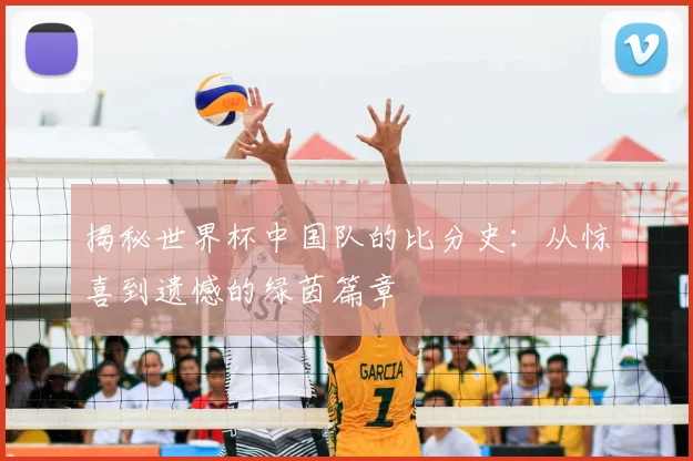 揭秘世界杯中国队的比分史:从惊喜到遗憾的绿茵篇章