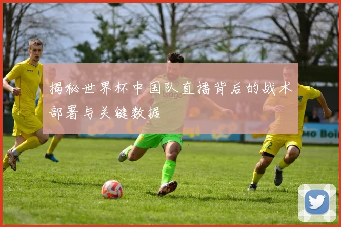 揭秘世界杯中国队直播背后的战术部署与关键数据