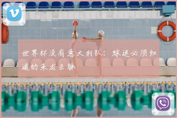 世界杯没有意大利队:球迷必须知道的来龙去脉