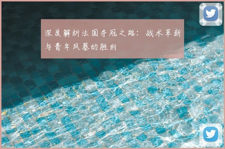 深度解析法国夺冠之路：战术革新与青年风暴的胜利