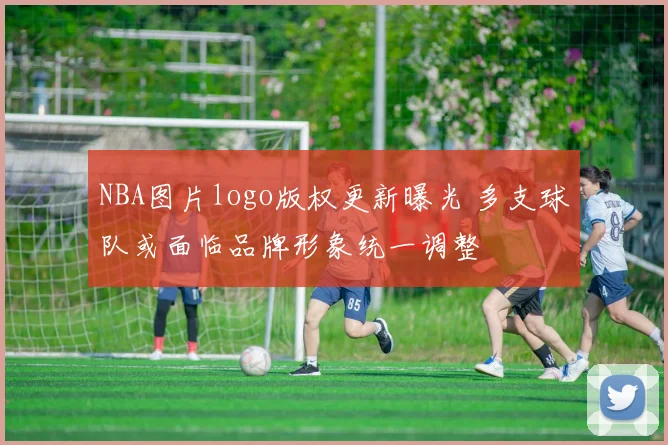 NBA图片logo版权更新曝光 多支球队或面临品牌形象统一调整