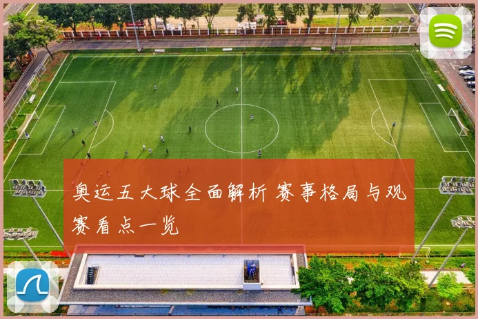 奥运五大球全面解析 赛事格局与观赛看点一览