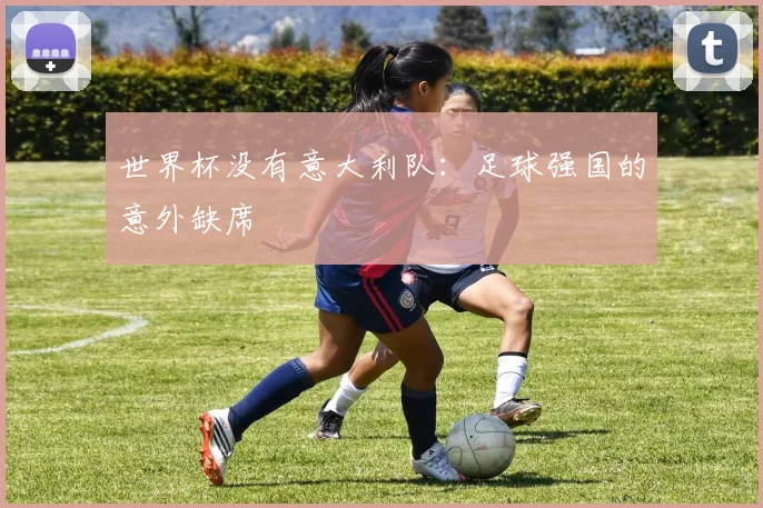 世界杯没有意大利队：足球强国的意外缺席