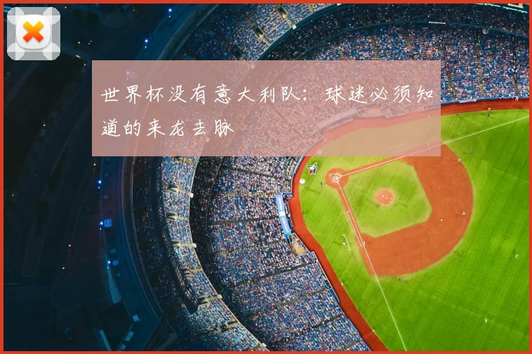世界杯没有意大利队:球迷必须知道的来龙去脉