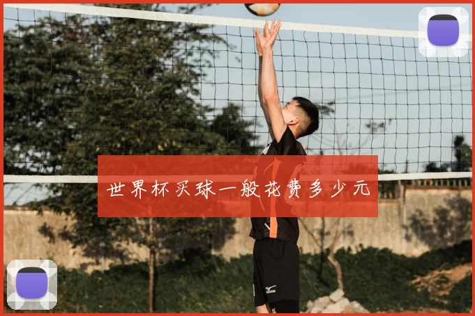 世界杯买球一般花费多少元