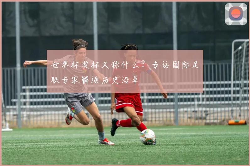 世界杯奖杯又称什么?专访国际足联专家解读历史沿革