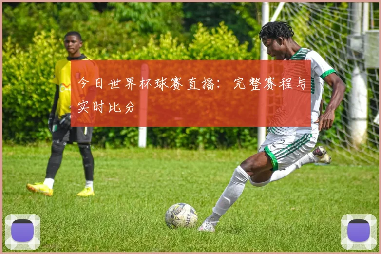 今日世界杯球赛直播：完整赛程与实时比分