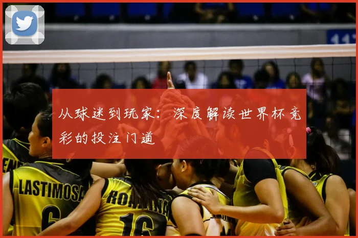从球迷到玩家：深度解读世界杯竞彩的投注门道
