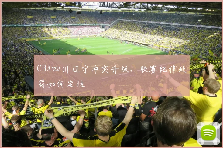 CBA四川辽宁冲突升级,联赛纪律处罚如何定性