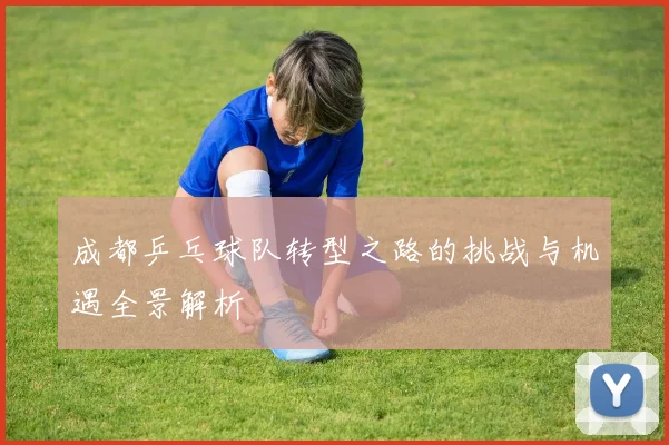 成都乒乓球队转型之路的挑战与机遇全景解析
