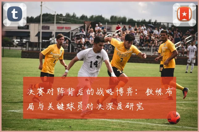 决赛对阵背后的战略博弈：教练布局与关键球员对决深度研究