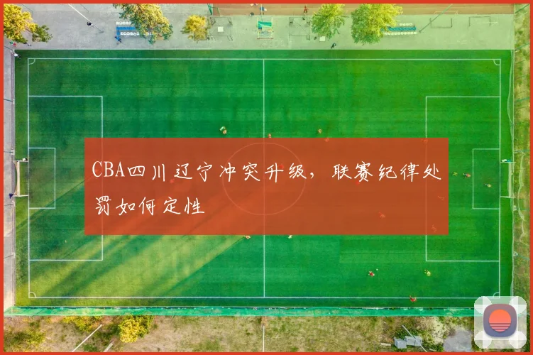 CBA四川辽宁冲突升级,联赛纪律处罚如何定性