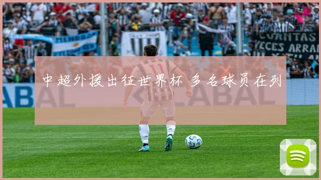 中超外援出征世界杯 多名球员在列