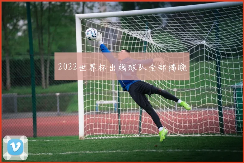 2022世界杯出线球队全部揭晓