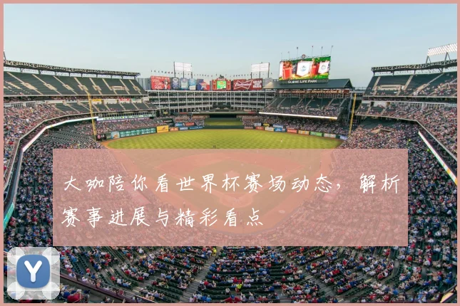 大咖陪你看世界杯赛场动态，解析赛事进展与精彩看点