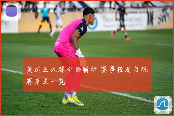 奥运五大球全面解析 赛事格局与观赛看点一览